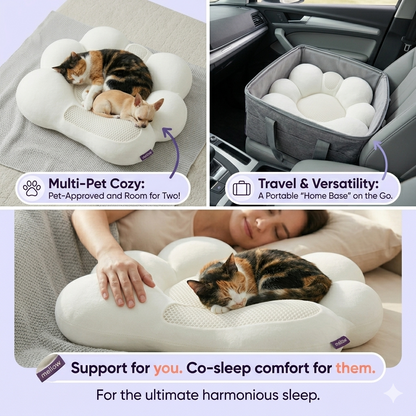Pet Paw Pillow